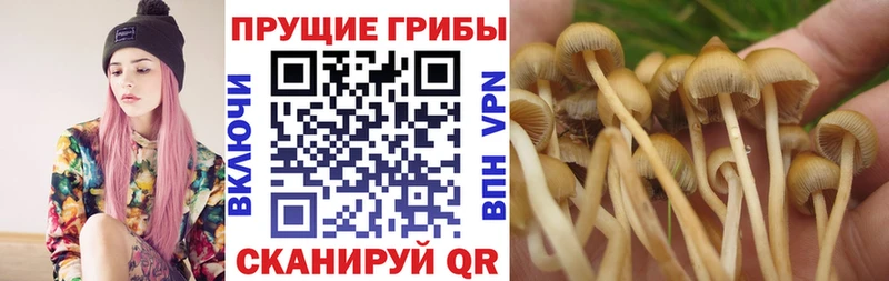 Псилоцибиновые грибы прущие грибы Заречный